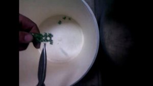 УЗВ . БИОЗАГРУЗКА своими руками Часть 6