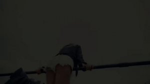 Мари Краймбрери - Пьяную , я тебя люблю #марикрамбери #красиваядевушка #гери #поле#спорт