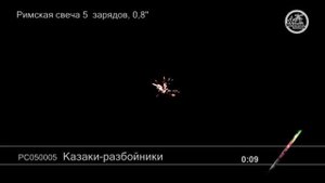 РС050005 Казаки-Разбойники