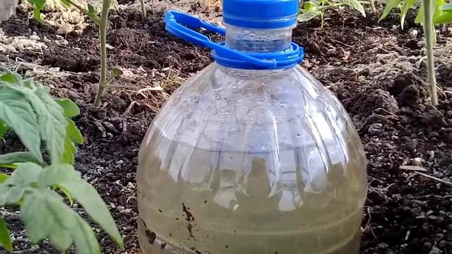 Как приспособить 5-ти литровые бутылки на даче: 7 вариантов использования