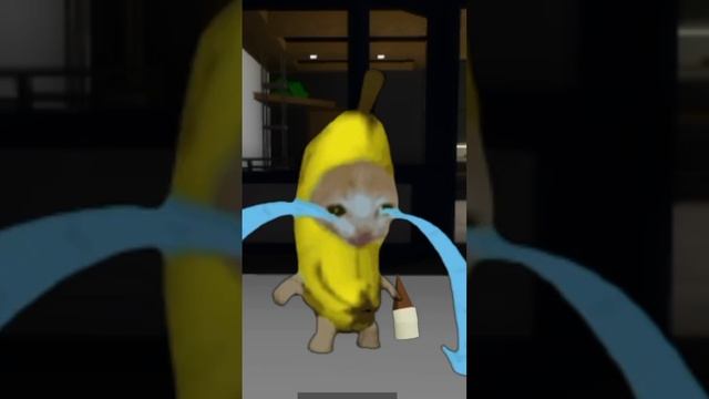 banana cat happy In Roblox #bananacatsad #happycat #roblox