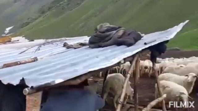 Горцы тляраты,, Труд в горах,, Тляратинский район,, Красоты Тляраты,,
