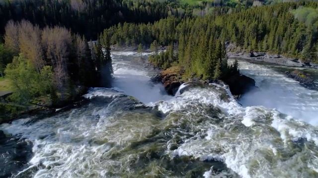 Лесной ручей смотреть онлайн