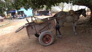 Ретро автомобили на Кубе