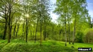 Зима-Весна-лето-осень