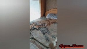 Продаётся дача в Сургуте, зимний вариант!