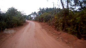 Индия/ Церковь ✝️ Леди Розари/ деревня Мандрем /на байке/ Баньян дерево корни