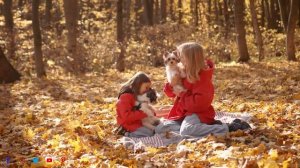 Прекрасные мелодии до слёз... Я плакала, когда услышала эту песню! Звук тишины, осень - С.Чекалин