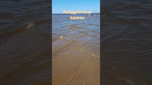 квадратные волны