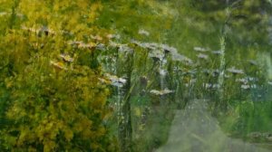 Mija rok - Czerwone Gitary