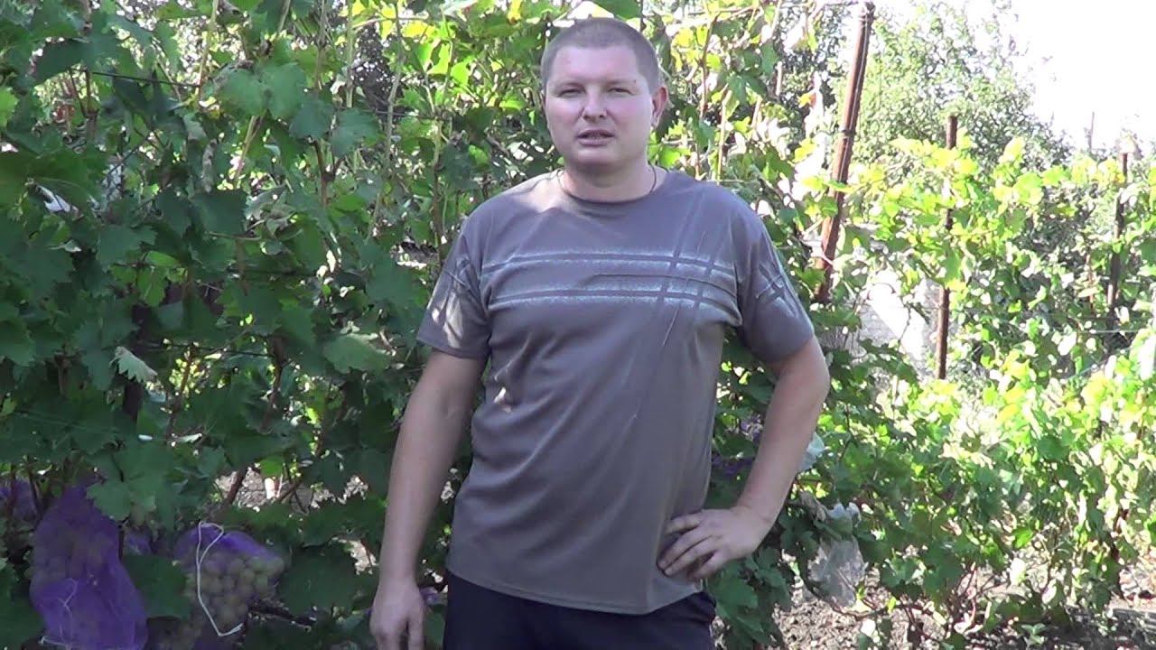 Обращение к подписчикам