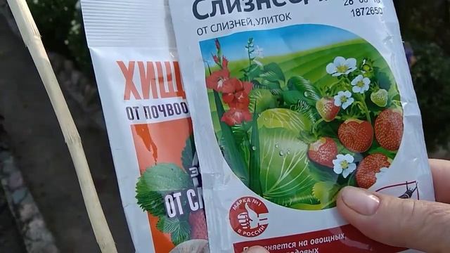 Приманки для слизней и улиток. Быстро и надолго смотреть онлайн