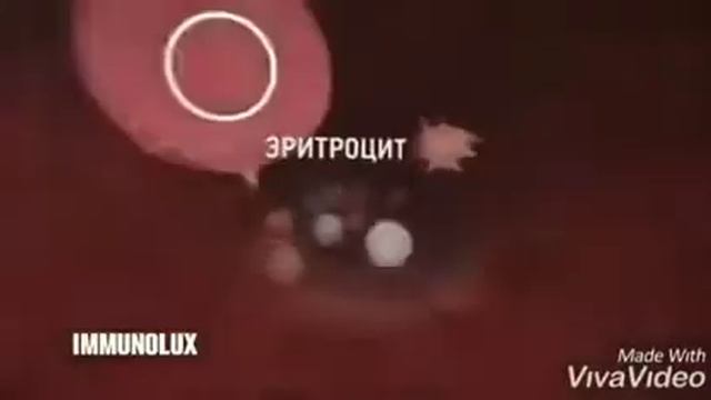 Рак онкология вич смотреть онлайн