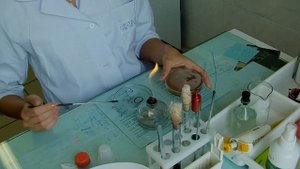 Приготовление мазка бактериальной культуры