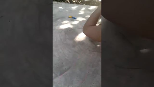 Нашли маленького скворца? СПАСВЕМ ЖИЗНЬ СКВОРЦУ) смотреть онлайн