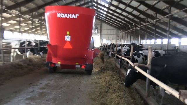 Умная ферма, автоматизация коровника КРС