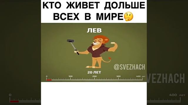 Кто живет дольше всех в мире смотреть онлайн