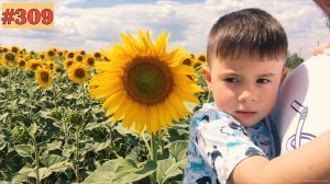 ПЕРВЫЕ ЗУБЫ #309 ВЛОГ ВОРОНЕЖ РОСТОВ НА ДОНУ 21 07 2020 lovdan