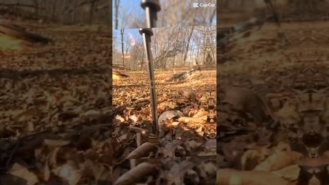 Лесу Сержен-юрт смотреть онлайн