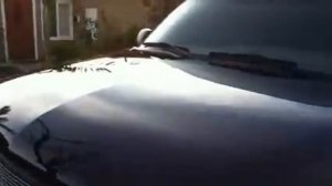 2001 chevy tahoe 3-3-11