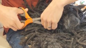 DIY Puli grooming
