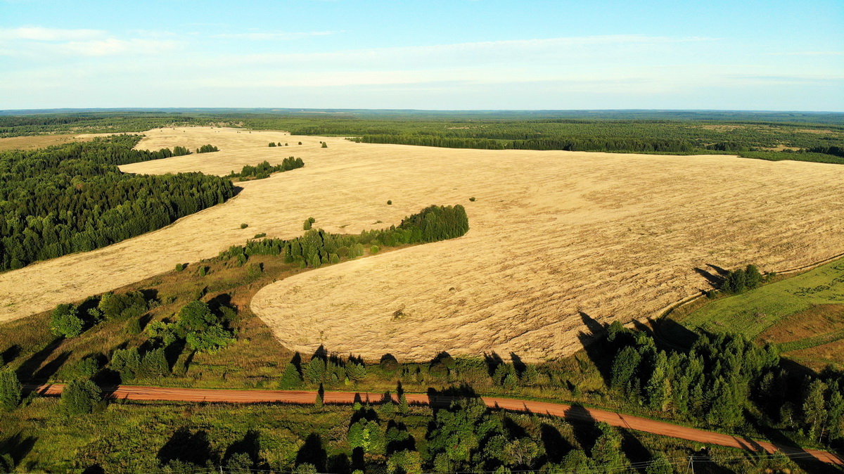 Фото д сделать