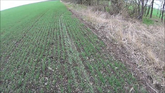 MANIA Охота на белолобого гуся в полях Краснодарского края. Дневник охотника №8 смотреть онлайн