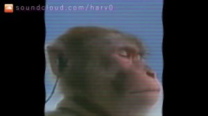 Monkey Type Beat (1 HOUR LOOP)