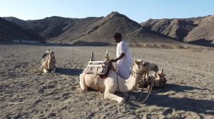 Египет . Декабрь 2022