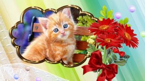 Бесплатный фотозаменяемый проект к дню рождения