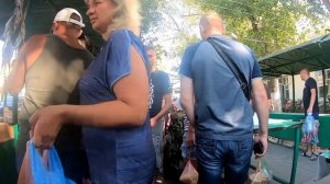 Седово 2019.Хроника выходного дня.