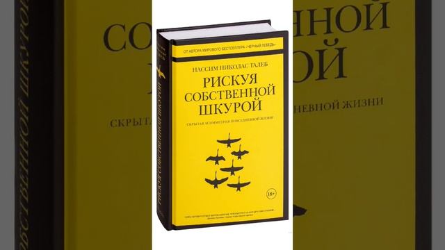 книги рекомендации веб графическийдизайн рекомендации вебдизайн дизайн веб-дизайнер