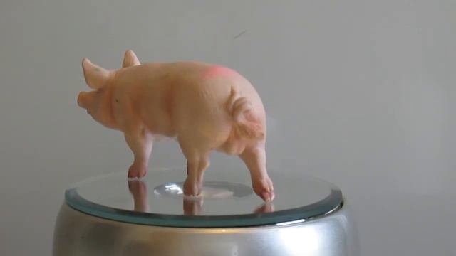 Игрушка фигурка PAPO Свинья PAPO toys Pig смотреть онлайн
