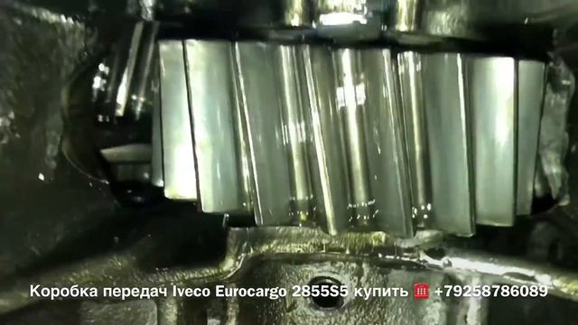 ☎️+79258786089 Viber Whatsapp кпп Iveco Eurocargo 2855S5 смотреть онлайн