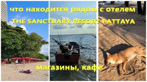 Что находится рядом с отелем THE SANCTUARY RESORT PATTAYA. Магазины, кафе.