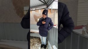 Профессор . Вот и всё . / ГАРДЕЙ И ИВАНЫЧ #shortsvideo #рекомендации #а4 #рек #россия #тренды #топ