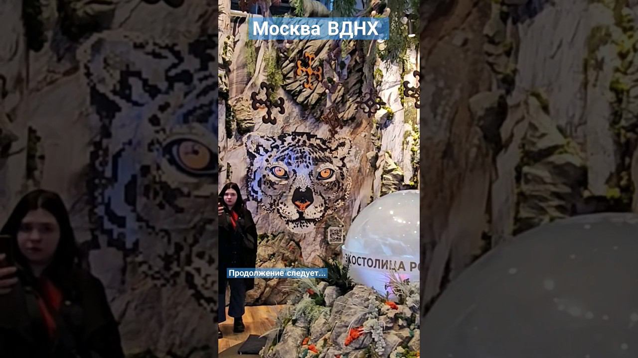 ВДНХ выставка Россия #пешкомпомиру #пешкомпогороду #пешкомпомоскве #пешкомпороссии #travel