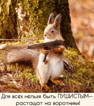 Смешные демотиваторы в продаже. Юмор.