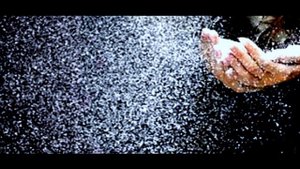 "Белое Золото – Белый снег