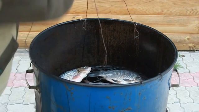 Горячее копчение рыбы Простой способ смотреть онлайн
