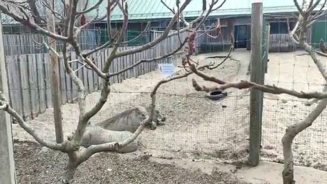 1 мая 2022 г. смотреть онлайн