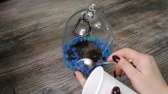Флорариум с ВЕНЕРИНОЙ МУХОЛОВКОЙ