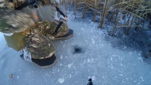 Ловля окуня на мормишку в с. Варковичі