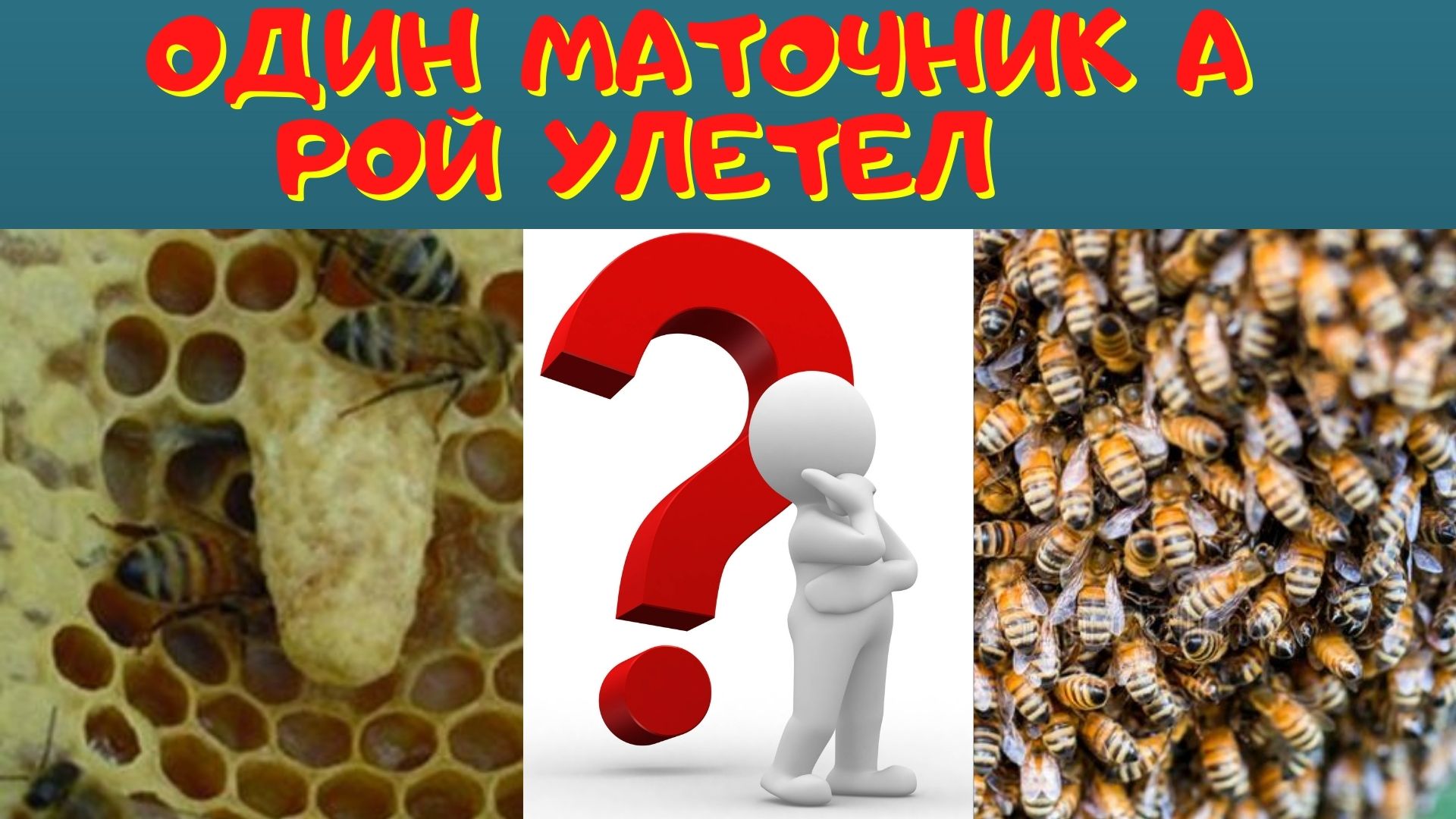 Не допускаем роения. - Отводок на старую матку. смотреть онлайн