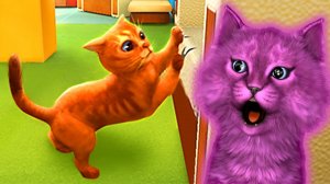 КОТЕНОК АБИ ИГРАЕТ с КОТИКОМ - СИМУЛЯТОР КОТА игра ДЛЯ ДЕТЕЙ и МАЛЫШЕЙ
