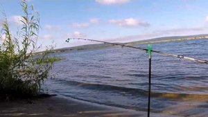 Рыбалка в Казани около посёлка Займище