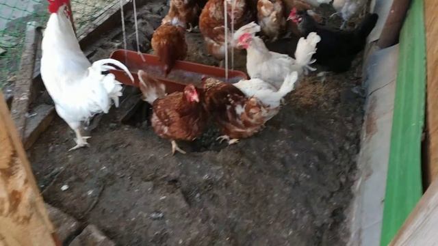 Саркины дети и домашние хлопоты смотреть онлайн