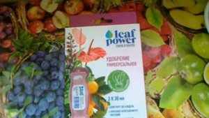 Фертика Leaf power удобрение универсальное для комнатных растений.