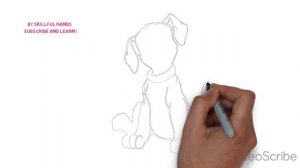 How to Draw a Dalmatian / Как нарисовать далматинца