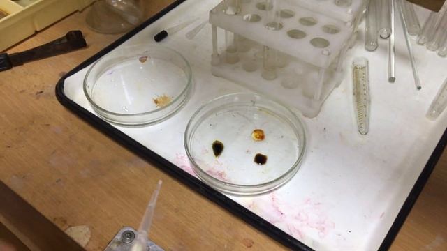 Сравнение ферментов. Соляная кислота и крахмал смотреть онлайн